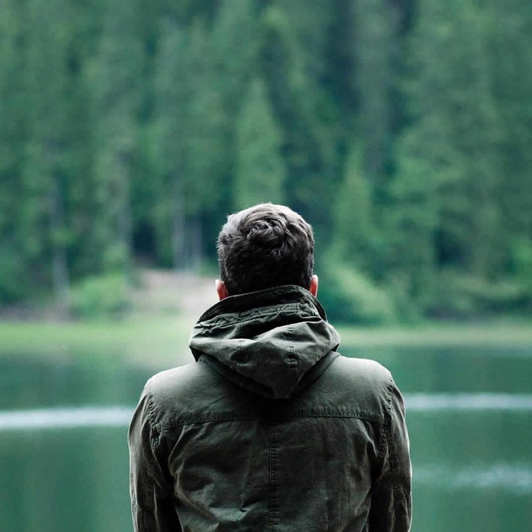 Forest Bathing | Bagno di Foresta