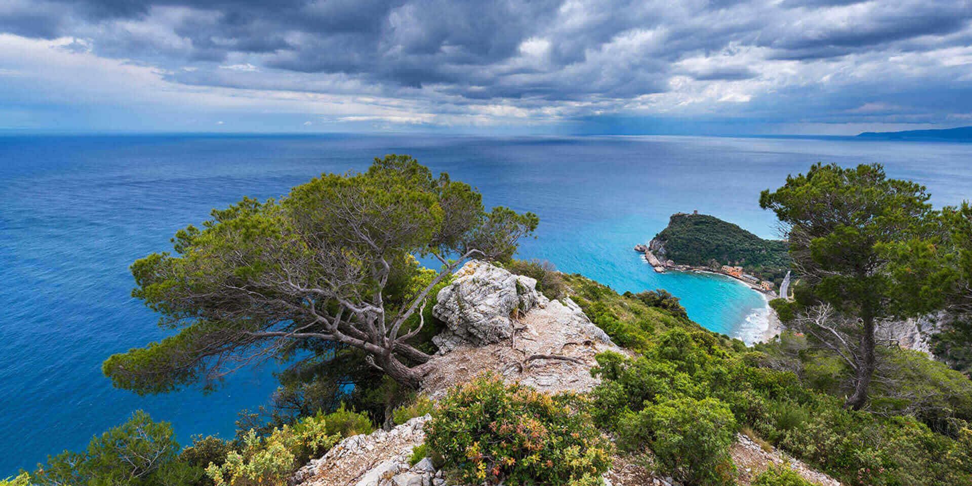Bagno di Foresta | Forest Bathing in Liguria
